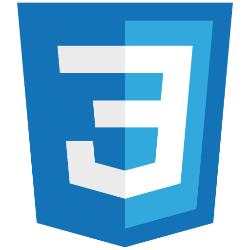 CSS CSS