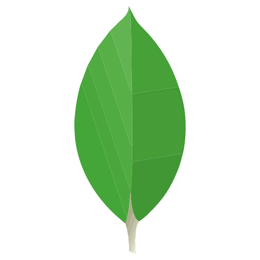 MongoDB MongoDB
